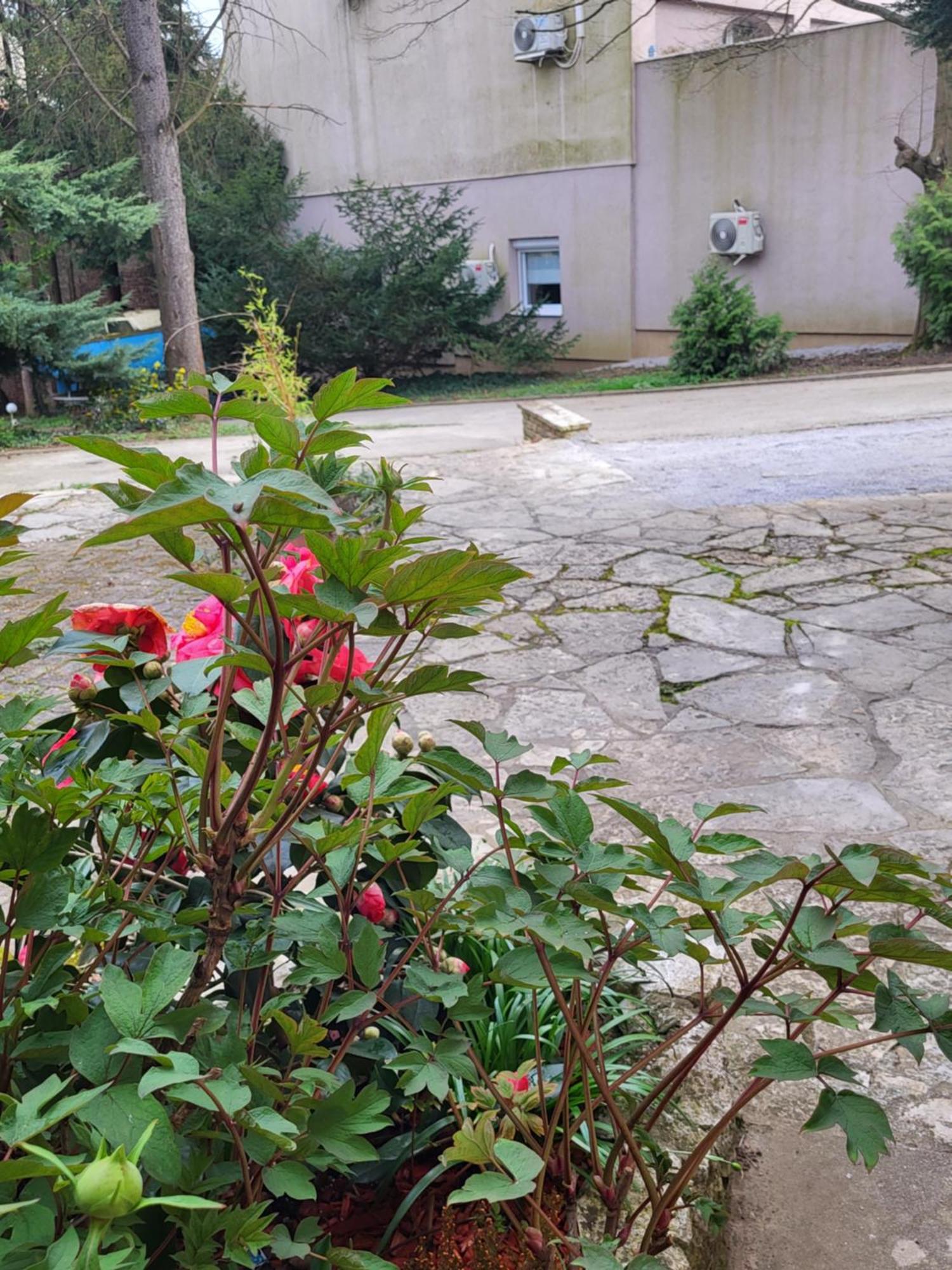 Villa Vino & Grad Zagreb Exteriör bild